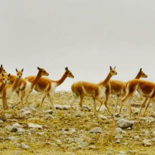 01052024-Screenshot_20240430-194605~2