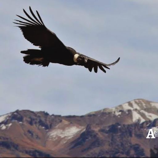 01052024-Screenshot_20240430-194926~2