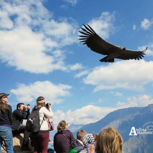 01052024-Screenshot_20240430-195100~2