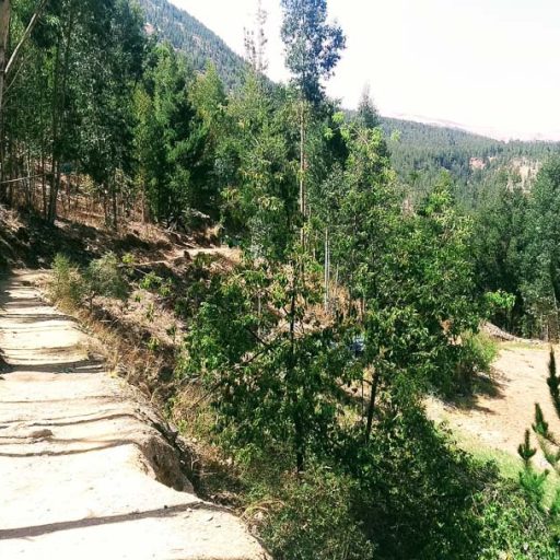 01092021-IMG_20210901_110853