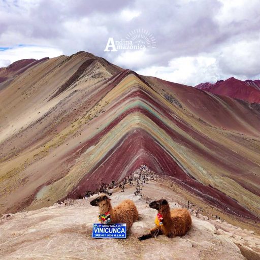 01102025-IMG_20251001_092708~2