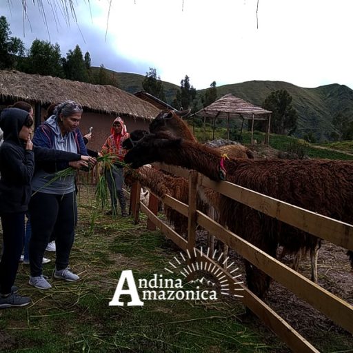 02042024-IMG_20240402_120051