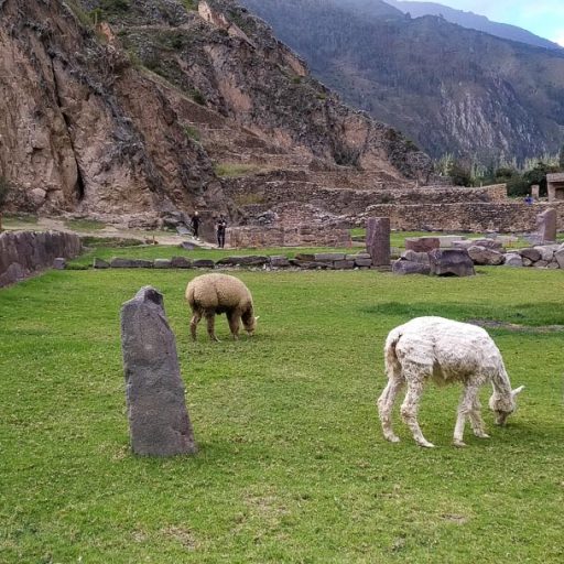 03042024-IMG_20240403_160529