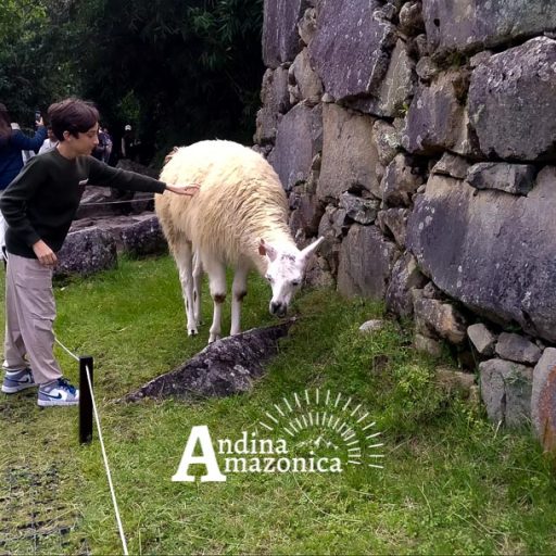 04042024-IMG_20240404_144000