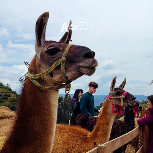 05012025-IMG_20250105_120107