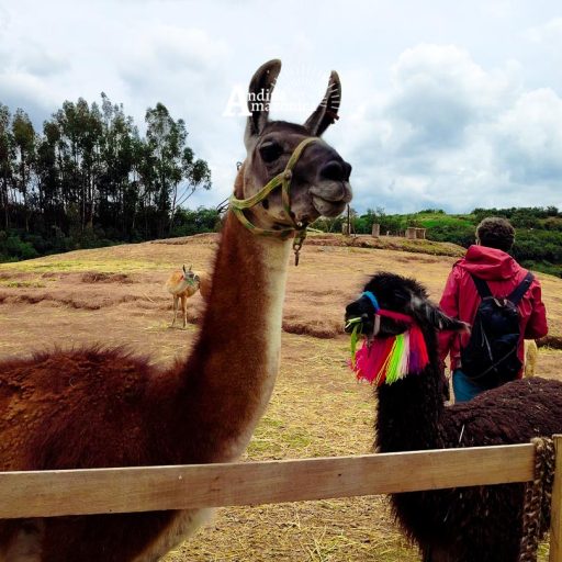 05012025-IMG_20250105_120218