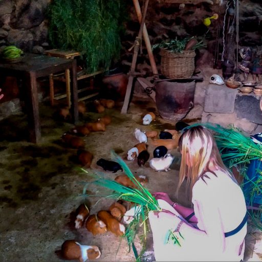 05042023-IMG_20230405_134914