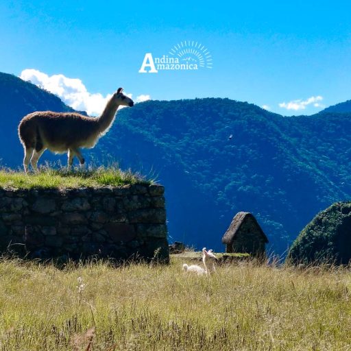 05062025-IMG_20250605_142025