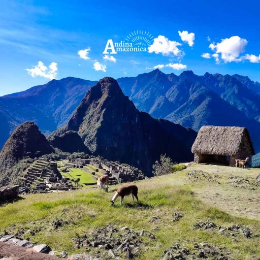 05062025-IMG_20250605_144630