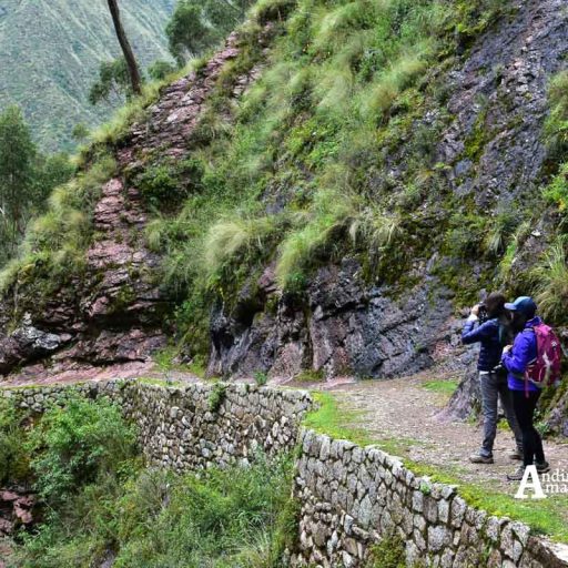 09022018-IMG-20180208-WA0064