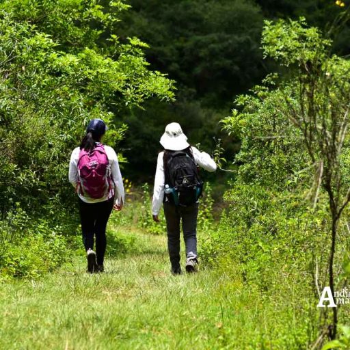 09022018-IMG-20180208-WA0078