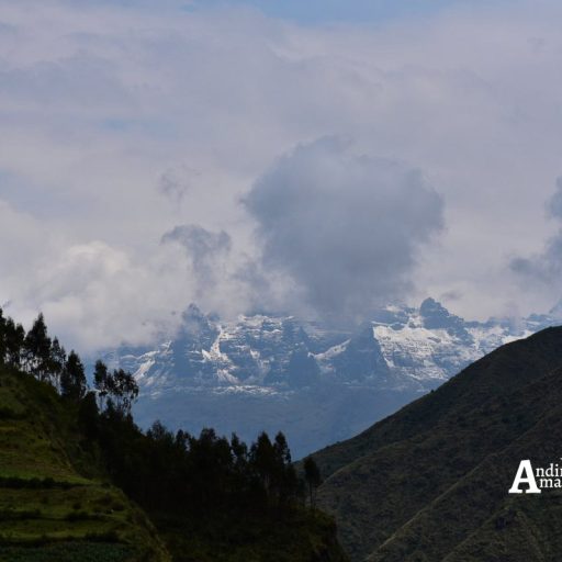 09022018-IMG-20180208-WA0099