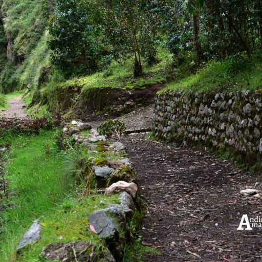 09022018-IMG-20180208-WA0104