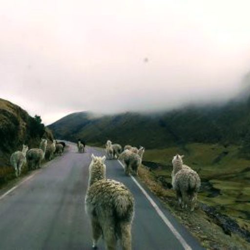 09072019-1562678003168