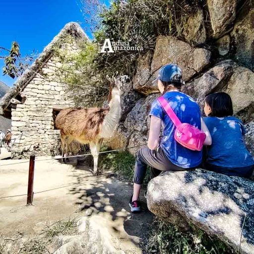 09072025-IMG_20250709_110023