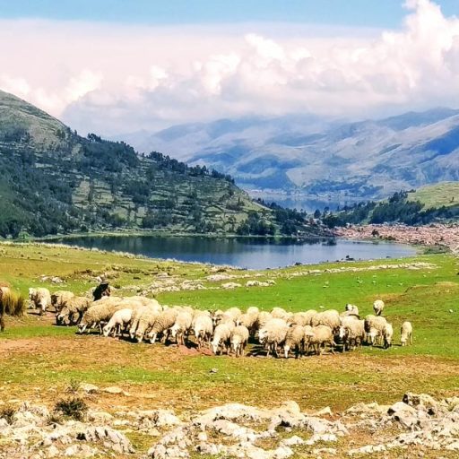 09122019-IMG_20191209_090736~2