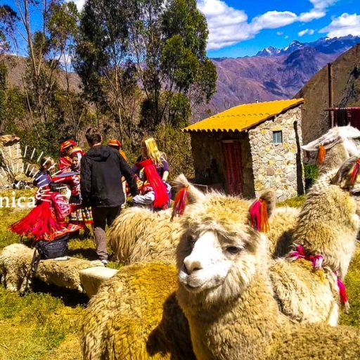 11062022-IMG_20220611_114200