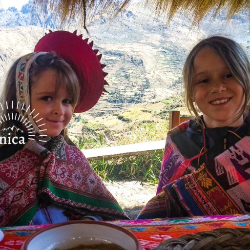 11062022-IMG_20220611_121246