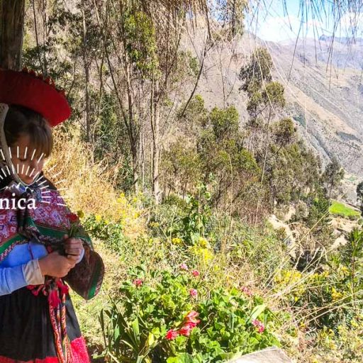 11062022-IMG_20220611_125423