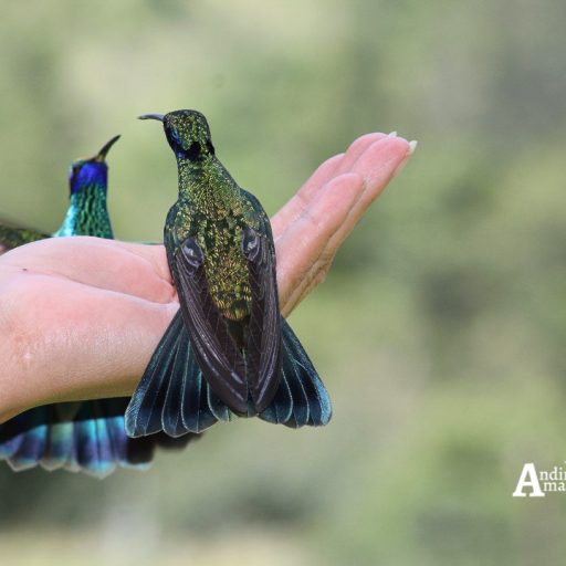 12022021-IMG-20210212-WA0040~2