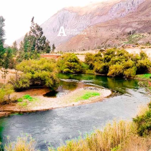 13082023-IMG_20230813_151509