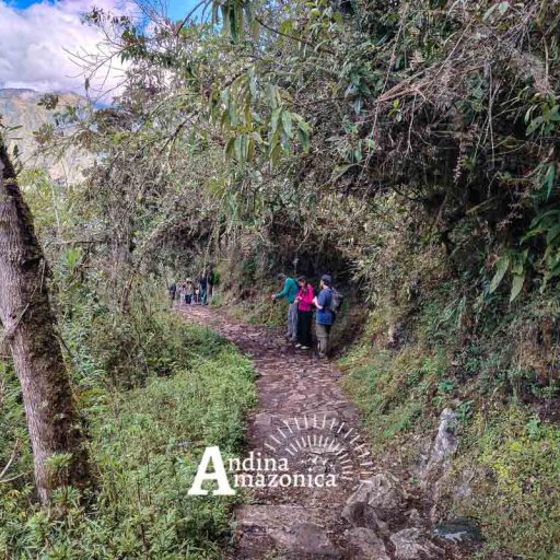 13092025-IMG_20250913_154300