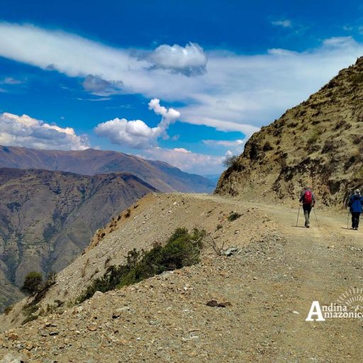 15102024-IMG_20241015_130735