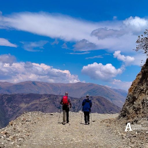 15102024-IMG_20241015_130809