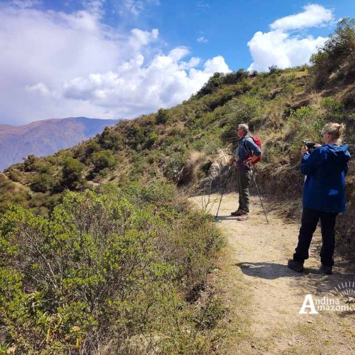 15102024-IMG_20241015_132300