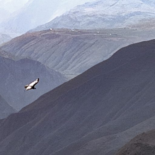 15102024-IMG_20241015_145901