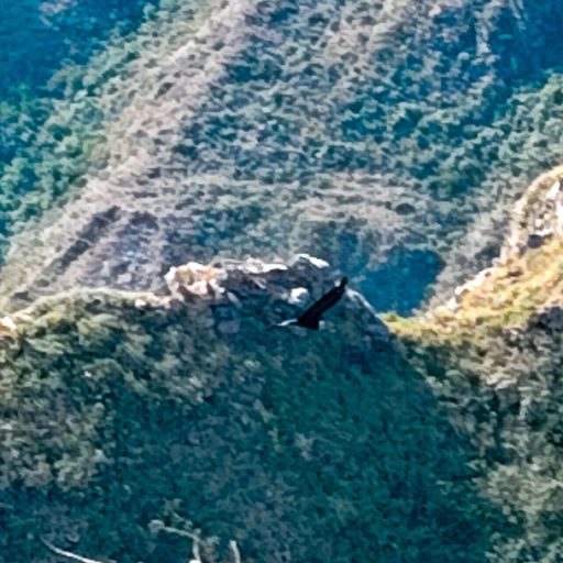 15102024-IMG_20241015_145904_1