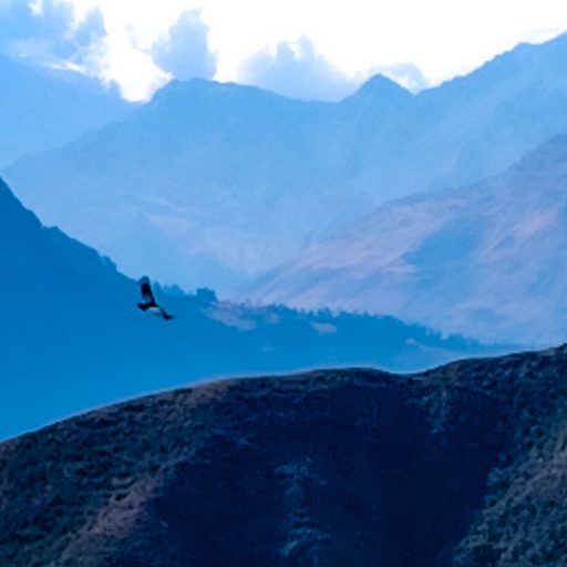 15102024-IMG_20241015_145916