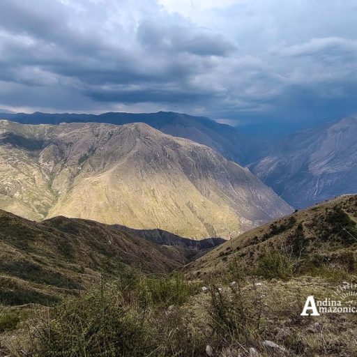 15102024-IMG_20241015_161007