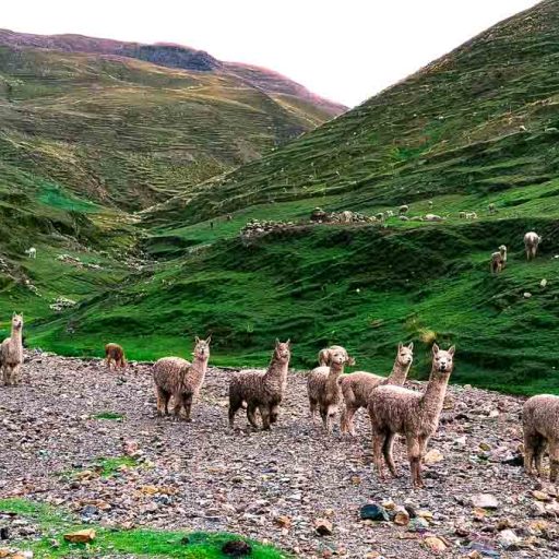 15122019-IMG_20191215_122356~2