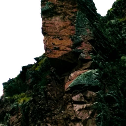 15122019-IMG_20191215_123918~2