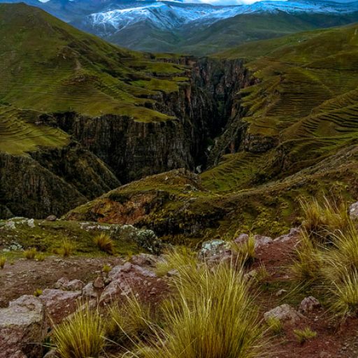 15122019-IMG_20191215_135836~2