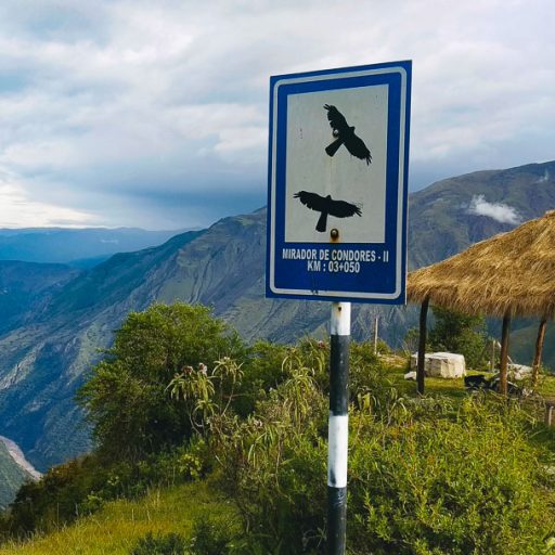 16022022-IMG_20220216_164015