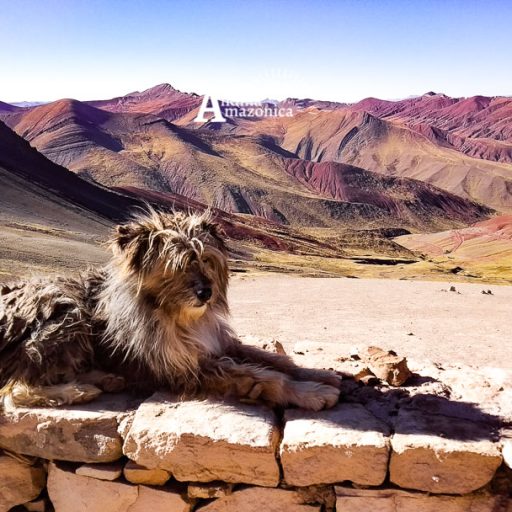 16062022-IMG_20220616_083839