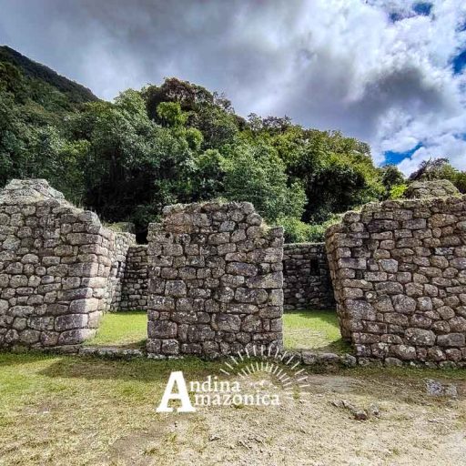 17052025-IMG_20250517_112506