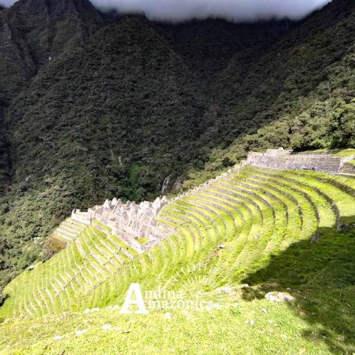 17052025-IMG_20250517_114119