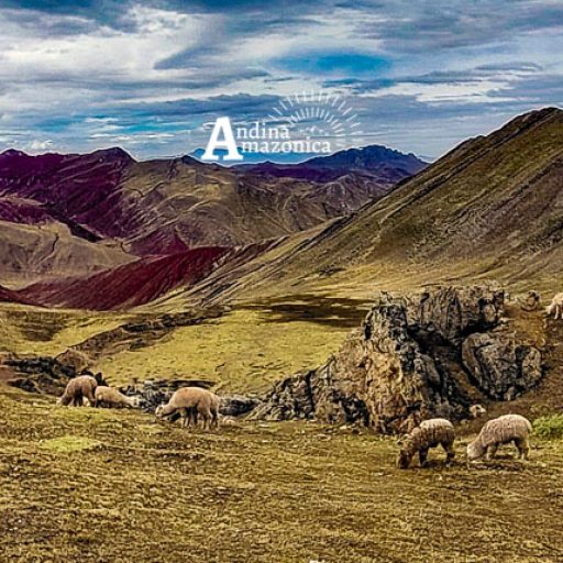 17072025-IMG_20250717_100744~2