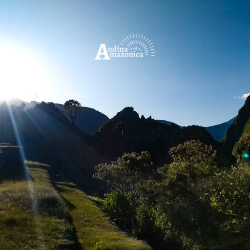 18062022-IMG_20220618_163655