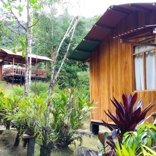 20042021-IMG_20210420_152120