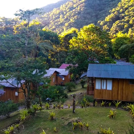 21042021-IMG_20210421_062001