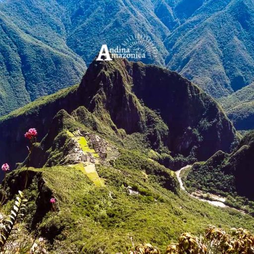 21062018-20180621_110924