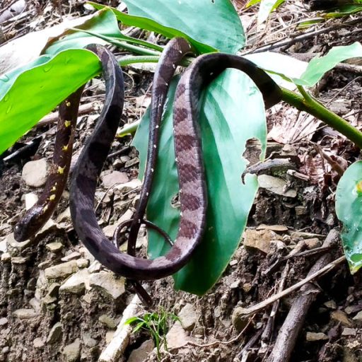 22042021-IMG_20210422_091816