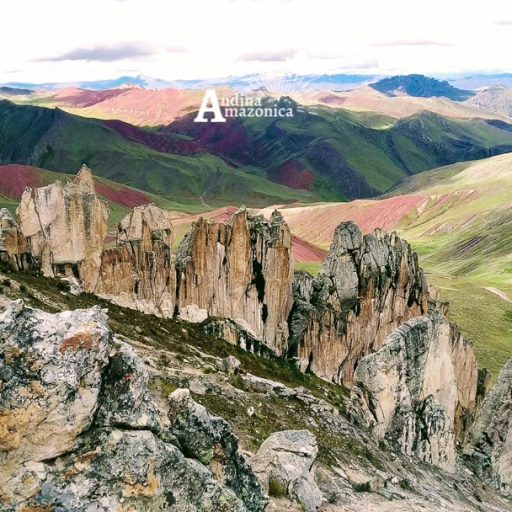 23032022-IMG_20220323_123137