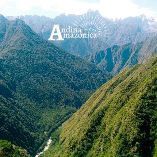 25052018-20180525_115420