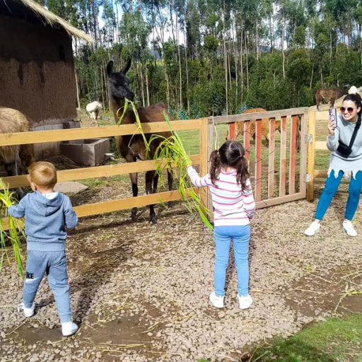 26032024-IMG_20240326_154733