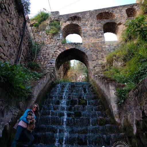 26072025-IMG_20250726_141752